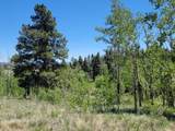 542 Thickspike Road - Photo 19