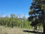 542 Thickspike Road - Photo 20