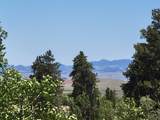 542 Thickspike Road - Photo 22