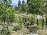 542 Thickspike Road - Photo 27