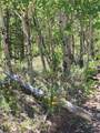 542 Thickspike Road - Photo 31