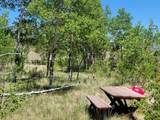 542 Thickspike Road - Photo 33