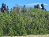 542 Thickspike Road - Photo 8