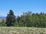 542 Thickspike Road - Photo 9