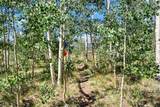 228 Glacier Ridge Road - Photo 21