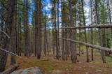 525 Gold King Way - Photo 27