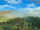 31655 Sugar Ridge Road - Photo 44