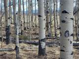 918 Little Baldy Circle - Photo 11