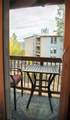 2200 Lodgepole Circle - Photo 9