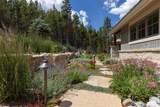 1129 Discovery Hill Drive - Photo 42