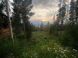 103 Bearing Tree Road - Photo 9