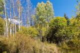 0 TBD Frying Pan Road - Photo 26
