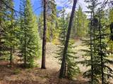PCS#7765 & 12057 Rollies Trail - Photo 10