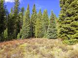 PCS#7765 & 12057 Rollies Trail - Photo 12