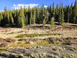 PCS#7765 & 12057 Rollies Trail - Photo 2