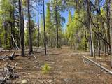 PCS#7765 & 12057 Rollies Trail - Photo 25