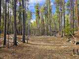 PCS#7765 & 12057 Rollies Trail - Photo 26