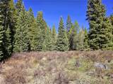 PCS#7765 & 12057 Rollies Trail - Photo 29