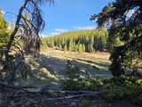 PCS#7765 & 12057 Rollies Trail - Photo 32