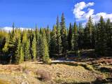 PCS#7765 & 12057 Rollies Trail - Photo 4