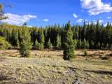 PCS#7765 & 12057 Rollies Trail - Photo 40