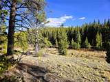 PCS#7765 & 12057 Rollies Trail - Photo 41