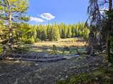 PCS#7765 & 12057 Rollies Trail - Photo 45