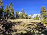 PCS#7765 & 12057 Rollies Trail - Photo 8