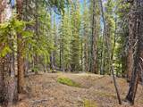 PCS#7765 & 12057 Rollies Trail - Photo 9