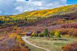 29700 Old Cabin Trail - Photo 40