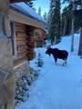 328 Quandary View Drive - Photo 6