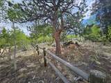 412 Smith And Wesson Road - Photo 2