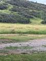 38430 County Road 179 - Photo 48