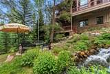 2050 Currant Way - Photo 43