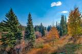 10000 Ryan Gulch Road - Photo 15