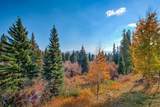 10000 Ryan Gulch Road - Photo 23
