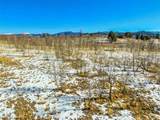 180 Quarter Horse Road - Photo 21