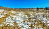 180 Quarter Horse Road - Photo 22