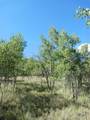 180 Quarter Horse Road - Photo 23