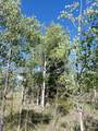 180 Quarter Horse Road - Photo 32