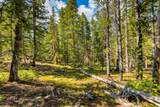 440 Gold Trail Circle - Photo 4