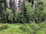 TBD Springboard Trail - Photo 5
