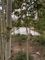 228 Sunshine Loop - Photo 2
