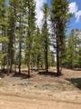 493 & 511 Spruce Drive - Photo 24