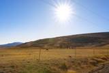 223 Breakneck Pass Road - Photo 11