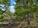 2381 Redhill Road - Photo 9