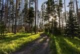 20850 Cheyenne Trail - Photo 41