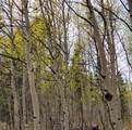 918 Little Baldy Circle - Photo 14