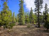 PCS#7765 & 12057 Rollies Trail - Photo 24