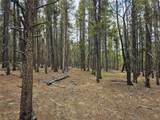 700 Looney Lane - Photo 37